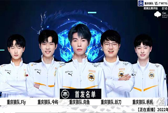 类型的对手