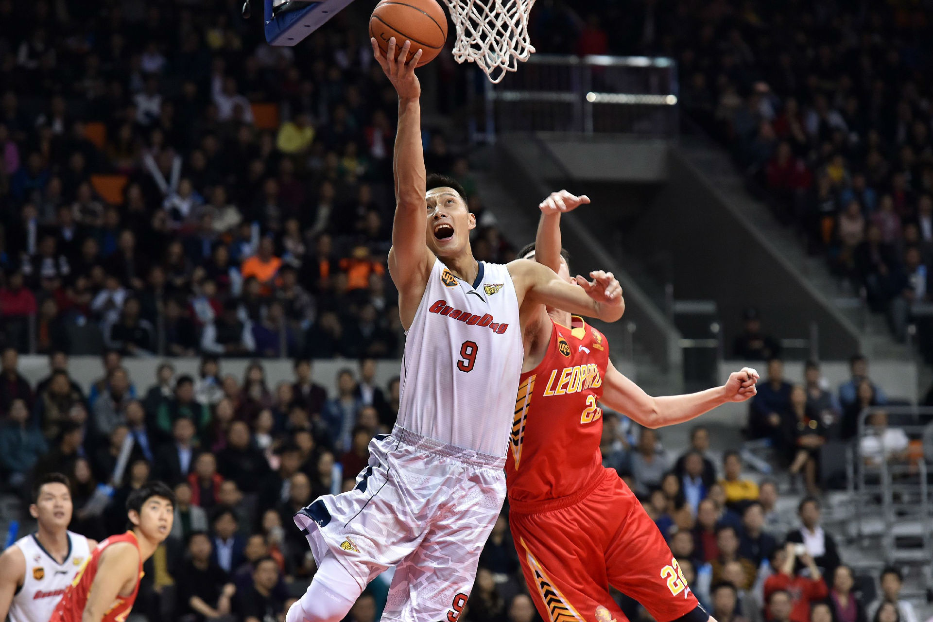 也能获得高 也能获得高