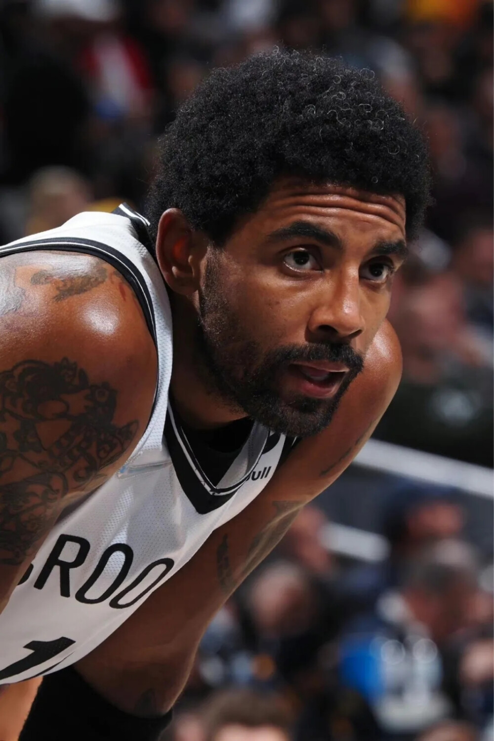 分享比赛中 分享比赛中